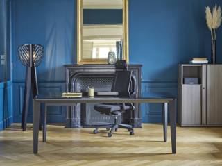 Bureau e-motion Gautier Business